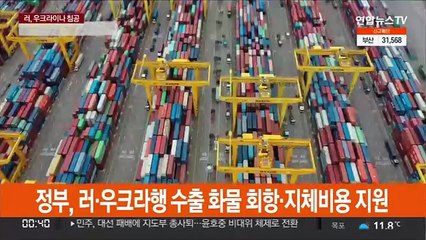 정부, 러·우크라행 수출 화물 회항·지체비용 지원