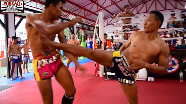 Les légendes du muay-thaï Saenchai et Singdam envoient du lourd à l'entraînement