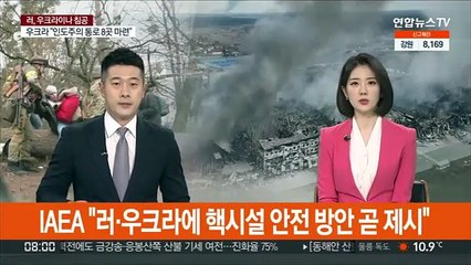 IAEA "러·우크라에 핵시설 안전 방안 곧 제시"