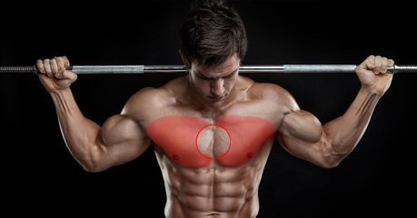 Prenez le sternum comme point de repère lors de votre entrainement des pecs