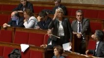 Assemblée Nationale : Le député UMP Philippe Le Ray imite une poule pendant l'intervention d'une députée
