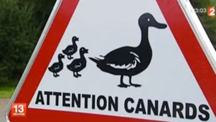 À Villotran dans l'Oise, on utilise des canards pour faire ralentir les voitures