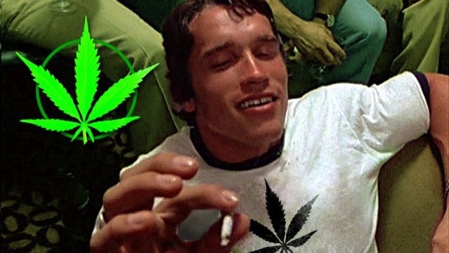 Musculation et cannabis : un nouveau concept de salle de sport qui fait beaucoup parler...