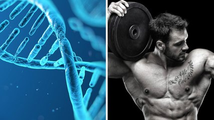 Et si faire un test d'ADN vous aidait à progresser en musculation ?