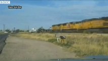 À l'arrêt sur une voie ferrée, un camion se fait percuter par un train au Texas