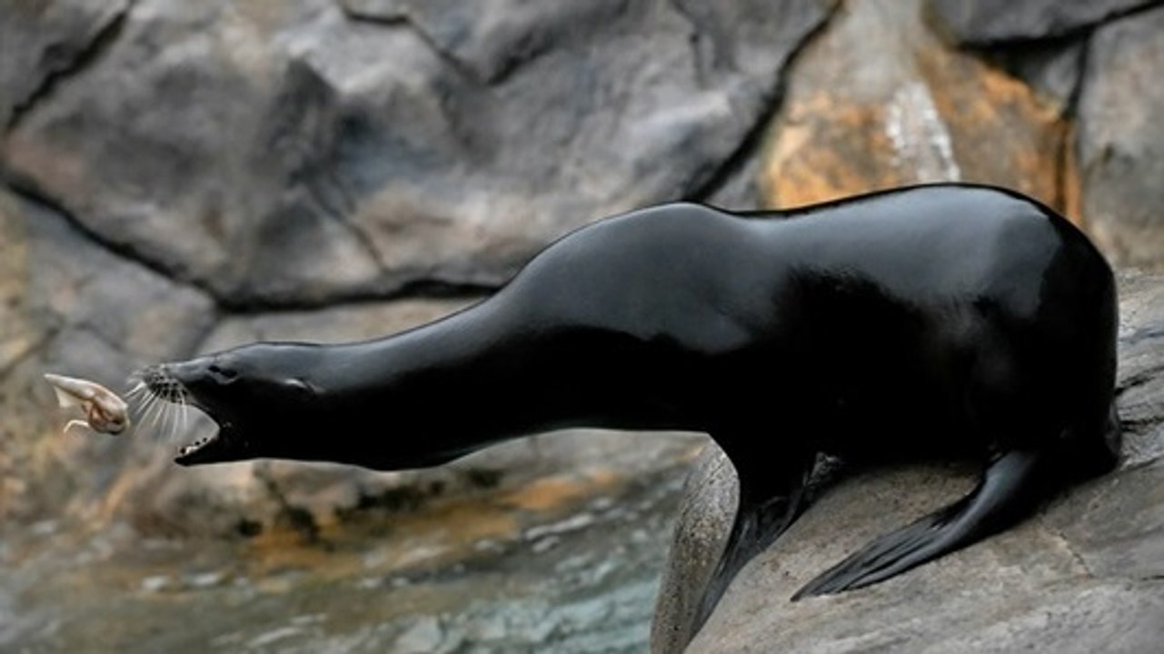 National Geographic lance un concours photo pour saisir ''le monde en mutation''