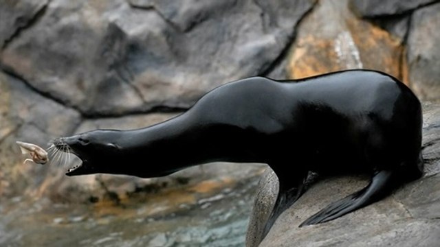 National Geographic lance un concours photo pour saisir ''le monde en mutation''