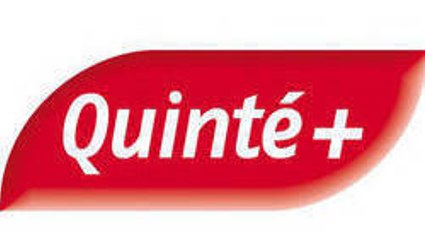 Résultat PMU du 10 novembre 2013 : découvrez l’arrivée du Quinté du jour