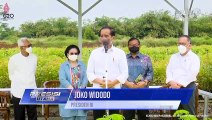 Presiden Jokowi Mengunjungi Persemaian Modern Rumpin di Kab Bogor