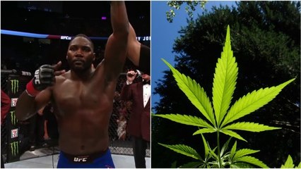 Anthony Johnson, l'ancien combattant UFC, va se lancer dans la culture de marijuana à des fins médicales
