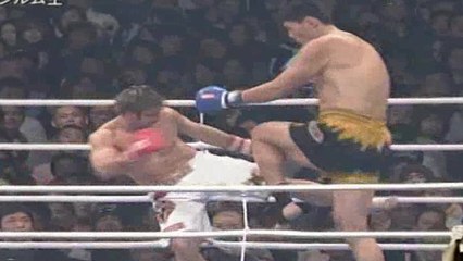 Un kickboxer de 2,22 m affronte une ceinture noire de karaté