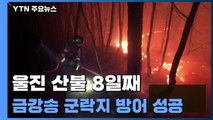 울진 산불 진화율 80%...금강송 군락지 방어 성공 / YTN