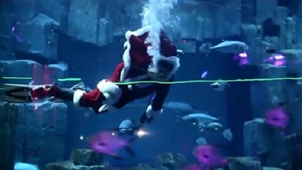 Le Père Noël s'offre un plongeon dans l'aquarium de Paris