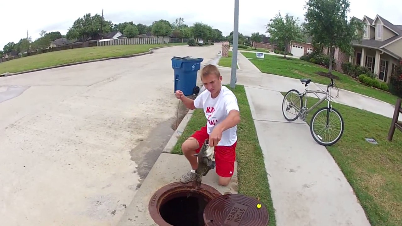 ''Sewer Fishing'' : Quand pêcher du poisson dans des égouts devient la nouvelle tendance du web