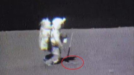 La vidéo oubliée de Charles Duke qui laisse tomber son marteau sur la Lune et n'arrive pas à le ramasser