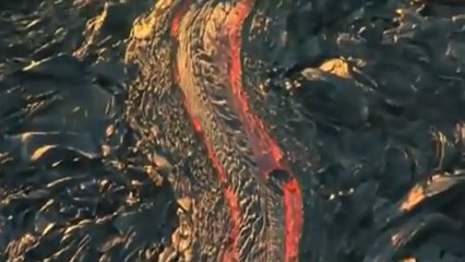 Découvrez l'incroyable force de la nature dans cette incroyable compilation