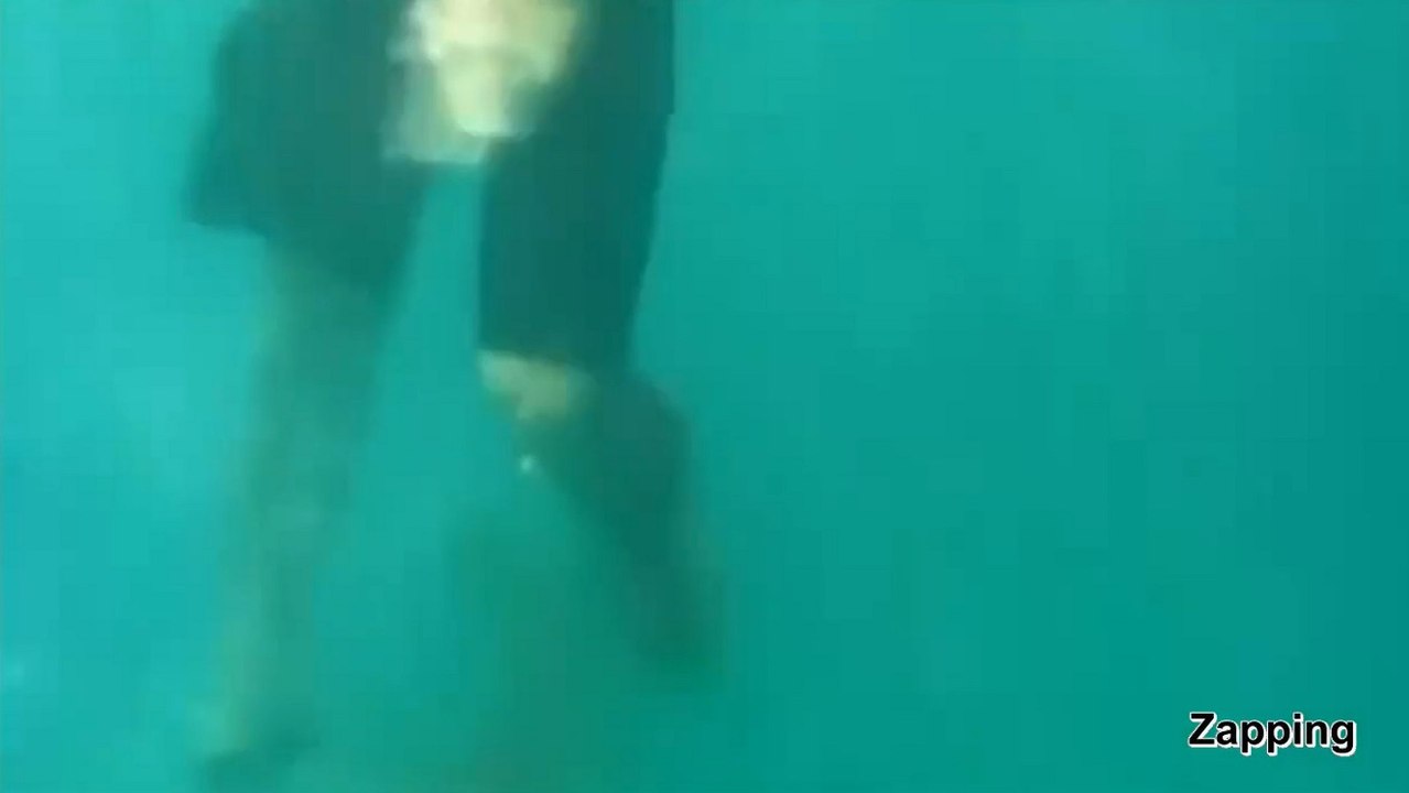 Un plongeur mordu par un requin alors qu'il était filmé par des amis