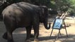 Cet éléphant dévoile son don pour la peinture