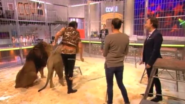 Comment ça va bien ? : Stéphane Bern dresse des lions avec Stéphanie de Monaco