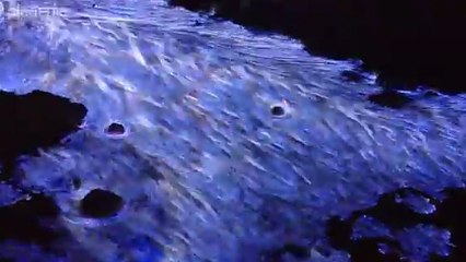 En Indonésie, le volcan Kawah Ijen produit de la lave bleue !