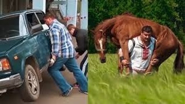 Dmitriy Khaladzhi, strongman ukrainien, s'entraîne en portant des voitures, des tracteurs et des... chevaux