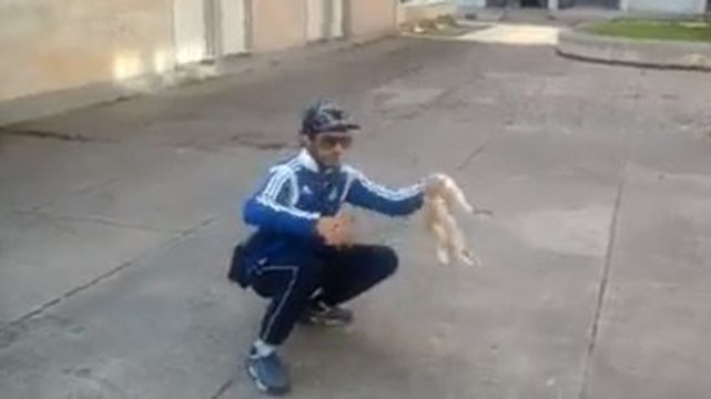 Facebook : Un Marseillais torture un chat et déclenche la colère des internautes