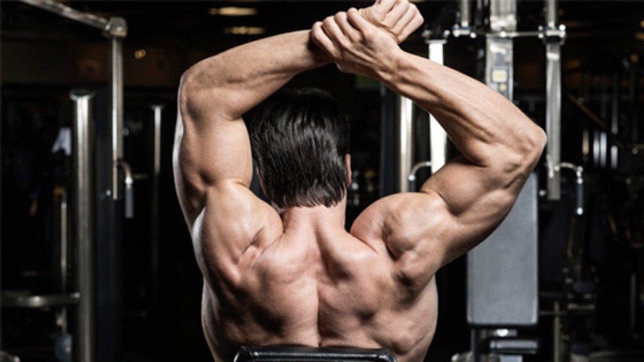 Les 6 meilleurs exercices pour les épaules