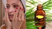 Skin पर करते हैं Tea Tree oil का use तो जान लें ये जरूरी बातें | Boldsky