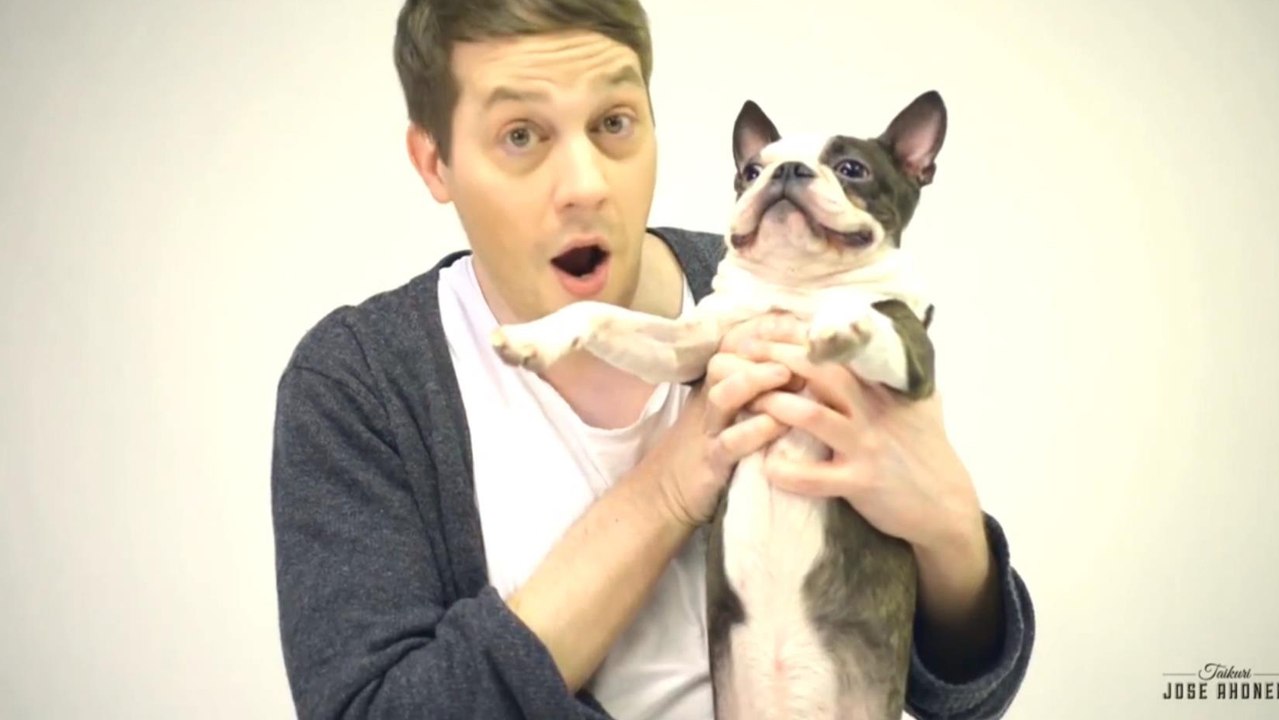 Un magicien essaye ses tours de magie sur des chiens, découvrez leurs réactions hilarantes