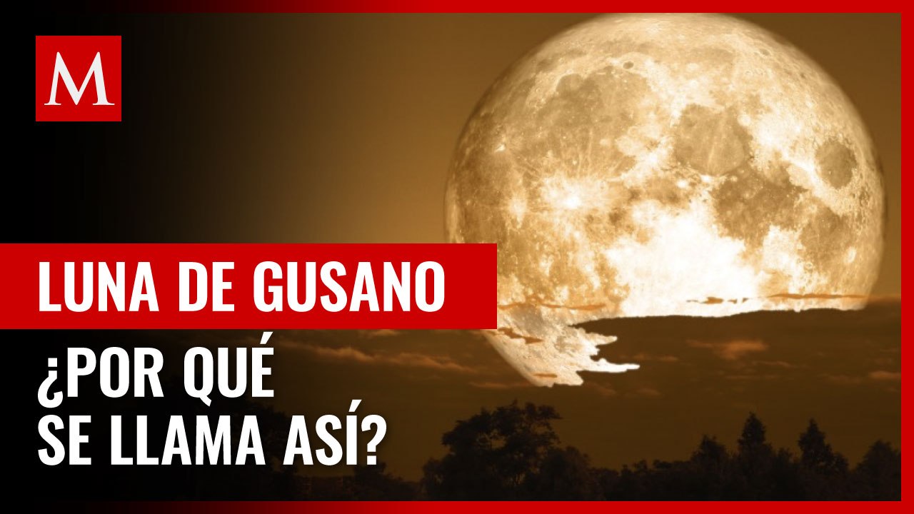 ¿Qué es la luna de gusano y por qué se llama así?