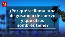 ¿Qué es la luna de gusano y por qué se llama así?