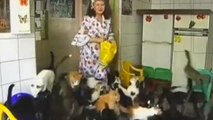 La russe Nina Kostsovo élève 130 chats dans son petit appartement