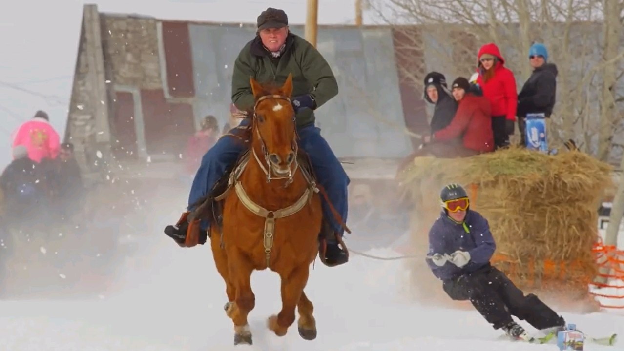 Le Ski Joëring, le sport où on skie en se faisant tracter par un cheval
