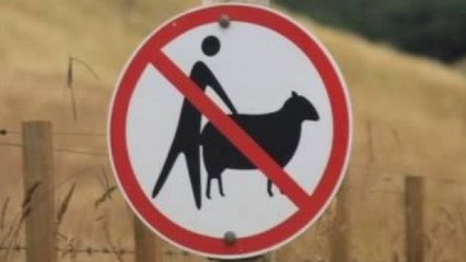 Découvrez les panneaux de signalisation les plus insolites du monde