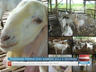 Pemasaran produk susu kambing dulu & sekarang