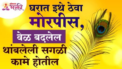 घरात मोरपीस कुठे ठेवल्यावर थांबलेली सगळी कामे होतील? Peacock Feathers | Vastushastra tips for home