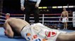 Boxe : Gennady Golovkin s'impose par KO au 2ème round face à vanes Martirosyan