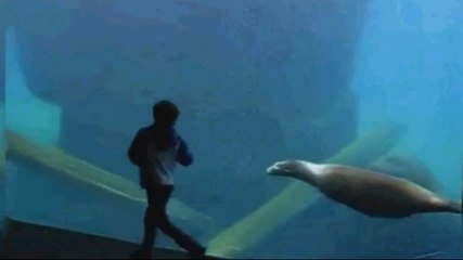 Un enfant atteint du syndrome d'Asperger s'amuse avec une otarie