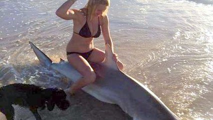 En s'asseyant sur un requin, l'Australienne Amber Van Kampen crée la polémique