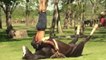 En Argentine, les chevaux ont des cours de yoga