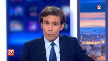 David Pujadas revient sur l'interruption du JT de 20h de France 2 d'hier