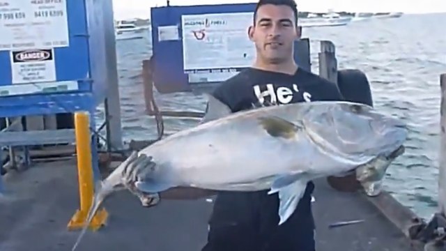 Il attrape un poisson gigantesque à mains nues !