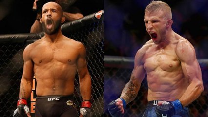 UFC 227 : Pourquoi le super-fight entre TJ Dillashaw et Demetrious Jonhson n'a pas été programmé