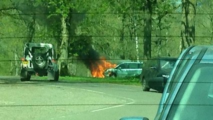 Dans un zoo Safari, la voiture de cette famille prend feu dans l'enclos des lions
