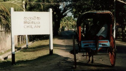 Sri Lanka : Une pluie de poissons s'est abattue sur le village de Chilaw