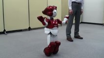 Emiew : Un robot humanoïde capable d'analyser les humains et de faire des blagues !