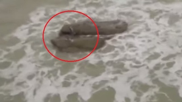 Israël : la preuve de l'existence des sirènes filmée ?