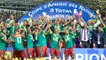 CAN 2019 : la compétition n'aura pas lieu au Cameroun, le Maroc et l'Afrique du Sud candidats