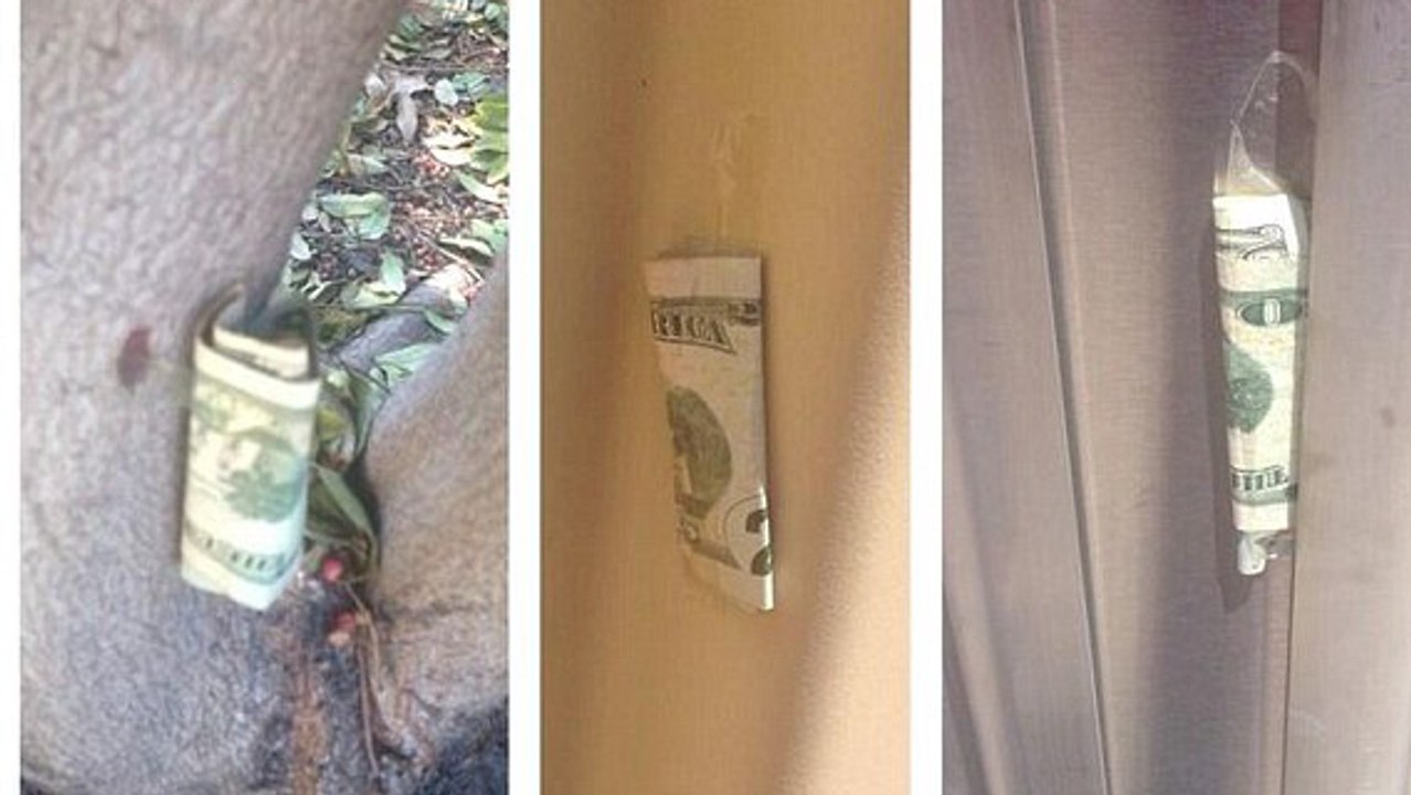 San Francisco : un homme cache de l'argent dans la ville et donne des indices sur internet