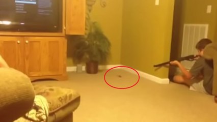 Un garçon affronte une petite souris avec une fausse arme